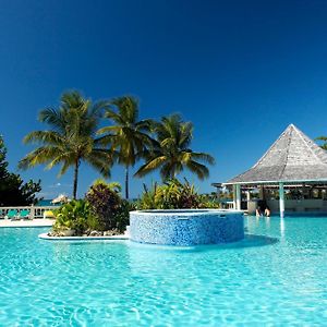 Starfish Tobago